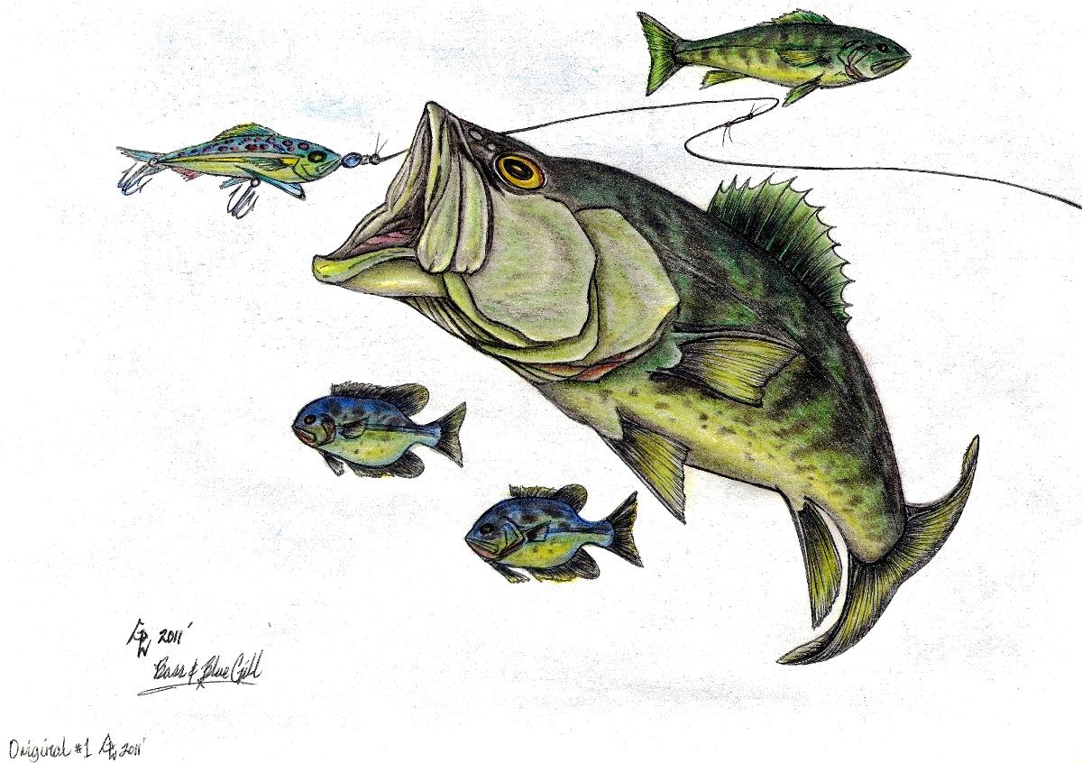 Big Bass and Bluegill Fishing Original Drawing Drawing By Gene Pippert 